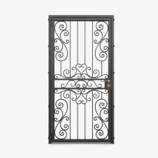 Металеві двері з ковкою