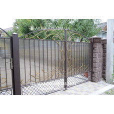 Ворота металеві P20 Ворота металеві P20