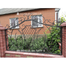 Паркан із елементами ковки F21